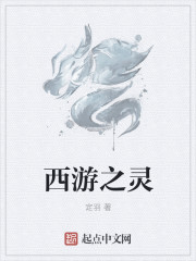 西游之灵小说封面