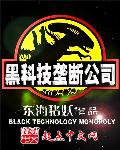 黑科技垄断公司小说封面