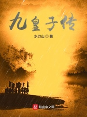 九皇子传小说封面