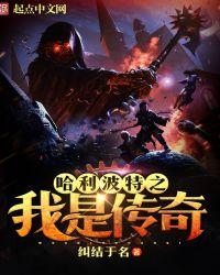 哈利波特之我是传奇 哈利波特之我是传奇