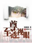 至尊透视眼 至尊透视眼