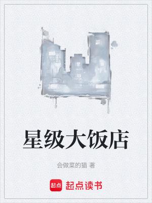 星级大饭店 星级大饭店